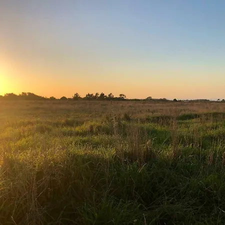 Cantinho Na Vicentina